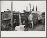 Strawberry pickers near Lakeland, Florida (see general captions no. 3 and no. 4)