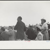 Horse races, Hialeah Park, Miami, Florida