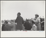 Horse races, Hialeah Park, Miami, Florida