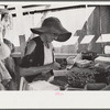 Strawberry pickers near Lakeland, Florida (see general captions no. 3 and no. 4)