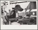 Strawberry pickers near Lakeland, Florida (see general captions no. 3 and no. 4)