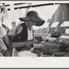 Strawberry pickers near Lakeland, Florida (see general captions no. 3 and no. 4)
