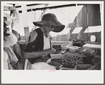 Strawberry pickers near Lakeland, Florida (see general captions no. 3 and no. 4)