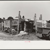 Strawberry pickers near Lakeland, Florida (see general captions no. 3 and no. 4)