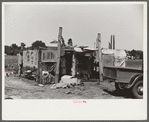 Strawberry pickers near Lakeland, Florida (see general captions no. 3 and no. 4)