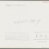 Strawberry pickers near Lakeland, Florida (see general captions no. 3 and no. 4)