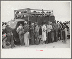 Vegetable workers, migrants, waiting after work to be paid. Near Homestead, Florida