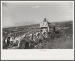 Discing the black mulch land before planting sugarcane for United States Sugar Corporation near Clewistown, Florida