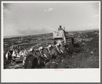 Discing the black mulch land before planting sugarcane for United States Sugar Corporation near Clewistown, Florida