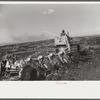 Discing the black mulch land before planting sugarcane for United States Sugar Corporation near Clewistown, Florida
