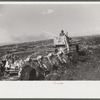 Discing the black mulch land before planting sugarcane for United States Sugar Corporation near Clewistown, Florida