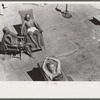 June in January, Miami Beach, Florida