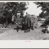 Sharecropper's children bringing tobacco in from field, near Manning, South Carolina