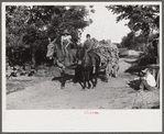 Sharecropper's children bringing tobacco in from field, near Manning, South Carolina
