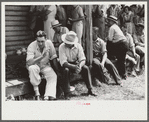 Spectators at auction sale of house and household goods, York County, Pennsylvania
