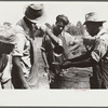 A portable cane mill. The owner gets every sixth gallon for making the sorghum syrup. This is on the property of a Negro owner, Wess Cris, a tobacco farm of about 165 acres in a prosperous Negro settlement near Carr, Orange County, North Carolina