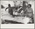 Skimming the boiling cane juice to make sorghum syrup at cane mill near Carr, Orange County, North Carolina