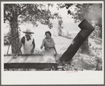 Skimming the boiling cane juice to make sorghum syrup at cane mill near Carr, Orange County, North Carolina