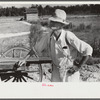 Mr. Foushee, owner-operator of farm, waiting while his son and neighbor load the wagon with sweet potatoes. He is sixty-five and has nineteen children. Orange County, North Carolina