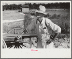 Mr. Foushee, owner-operator of farm, waiting while his son and neighbor load the wagon with sweet potatoes. He is sixty-five and has nineteen children. Orange County, North Carolina