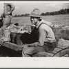 Mr. Foushee's neighbor who was helping them pick up and load wagon of sweet potatoes. He received a small share. On highway No. 144 near intersection with highway No. 14. Orange County, North Carolina