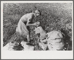 J.A. Johnson's oldest daughter picking cotton in cotton field, Statesville, North Carolina. He is a sharecropper, works about ten acres, receives half the cotton, must pay for half the fertilizer. Landlord furnishes stock and tools