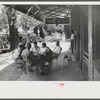 Playing dominoes or cards in front of drug store in center of town, in Mississippi Delta, Mississippi