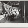 Playing dominoes or cards in front of drug store in center of town, in Mississippi Delta, Mississippi