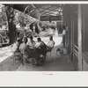 Playing dominoes or cards in front of drug store in center of town, in Mississippi Delta, Mississippi