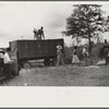 Weighing and picking operations on Nugent cotton plantation, Benoit, Mississippi Delta, Mississippi. The pickers are hired day laborers from Greenville, and receive seventy-five cents per one hundred pounds