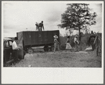Weighing and picking operations on Nugent cotton plantation, Benoit, Mississippi Delta, Mississippi. The pickers are hired day laborers from Greenville, and receive seventy-five cents per one hundred pounds