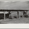 Wagonloads of cotton waiting to be ginned on Knowlton Plantation, Perthshire, Mississippi Delta, Mississippi