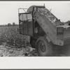 International cotton picker on Hopson Plantation, Clarksdale, Mississippi Delta, Mississippi