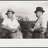 Mr. Sam Knowlton and one of his assistants, talking together in cotton field on Knowlton Plantation, Perthshire, Mississippi Delta, Mississippi
