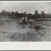 Planting oats on plantation after cotton harvest is over, Mileston, Mississippi Delta, Mississippi