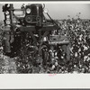 Rust cotton picker in cotton field, Cloverdale Plantation, Clarksdale, Mississippi Delta, Mississippi