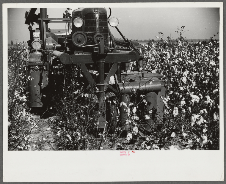 Mississippi Cotton Plantations Cotton Plantation On The Mississippi