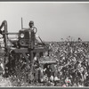 Rust cotton picker in field on Cloverdale Plantation, Clarksdale, Mississippi Delta, Mississippi