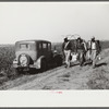 Mexican seasonal laborer returning home after picking cotton on Hopson Plantation, Mississippi