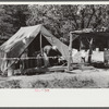 Tent belonging to Mexican labor from Texas, who was brought here for the duration of the cotton picking season. Hopson Plantation, near Clarksdale, Mississippi Delta, Mississippi