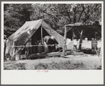Tent belonging to Mexican labor from Texas, who was brought here for the duration of the cotton picking season. Hopson Plantation, near Clarksdale, Mississippi Delta, Mississippi