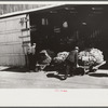 Taking tobacco into warehouse for auction, Durham, North Carolina