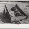 Trailer after tobacco has been taken out. Farmers bring tobacco in all types of conveyance to the auction sales. Wendell, Wake County, North Carolina