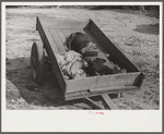 Trailer after tobacco has been taken out. Farmers bring tobacco in all types of conveyance to the auction sales. Wendell, Wake County, North Carolina