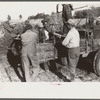 Baling hay on the Mary E. Jones place of about 140 acres. The sons W.E. and R.E. Jones own ninty-nine and sixty acres respectively. There are eight mules on the entire place, two cows, and this year, forty acres in tobacco--no cotton