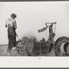 Baling hay on the Mary E. Jones place of about 140 acres. The sons W.E. and R.E. Jones own ninty-nine and sixty acres respectively. There are eight mules on the entire place, two cows, and this year, forty acres in tobacco--no cotton