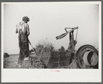 Baling hay on the Mary E. Jones place of about 140 acres. The sons W.E. and R.E. Jones own ninty-nine and sixty acres respectively. There are eight mules on the entire place, two cows, and this year, forty acres in tobacco--no cotton