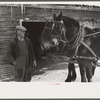 Hired man and team, Putney Homesteads, near Woodstock, Vermont