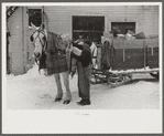 Woodstock, Vermont. Horse and sled of a garbage and rubbish collector