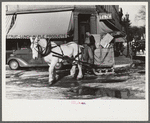 Collecting rubbish with sled in winter. Woodstock, Vermont